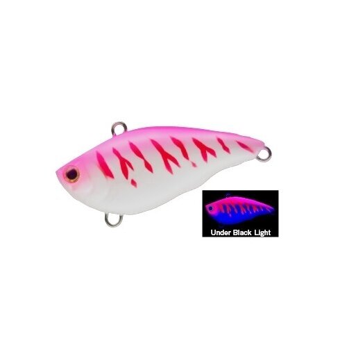 Vobleris Yo-Zuri 40mm RATTLiN VIBE MINI Tinka Vasarai bet ir Žiemą Ešerių Lydekų Starkių Upėtakių Palijų Žūklei 15 Vobleris Yo-Zuri 40mm RATTLiN VIBE MINI Tinka Vasarai bet ir Žiemą Ešerių Lydekų Starkių Upėtakių Palijų Žūklei 15