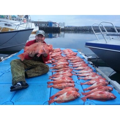 Svarelis Jūrinis 500g Dengtas Gumuotas Mėlynas Norvegijai Purpurinių Ešerių Žvejybai Rapala Elbe + 700g / 900g / 300g Svarelis Jūrinis 500g Dengtas Gumuotas Mėlynas Norvegijai Purpurinių Ešerių Žvejybai Rapala Elbe + 700g / 900g / 300g
