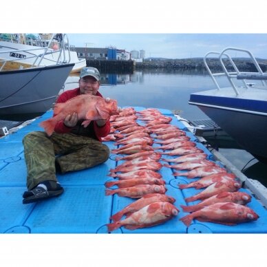 Svarelis Jūrinis 500g Dengtas Gumuotas Mėlynas Norvegijai Purpurinių Ešerių Žvejybai Rapala Elbe + 700g / 900g / 300g Svarelis Jūrinis 500g Dengtas Gumuotas Mėlynas Norvegijai Purpurinių Ešerių Žvejybai Rapala Elbe + 700g / 900g / 300g