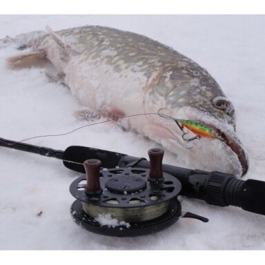 Balansyras ICE Vertical Jig Izumi Balansyras ICE Vertical Jig Izumi