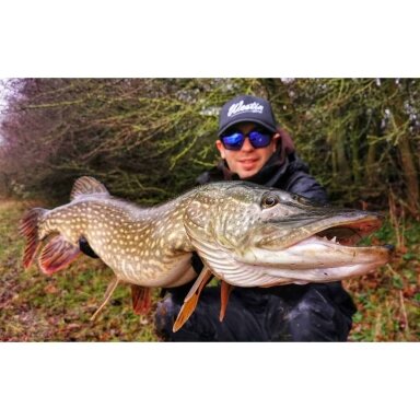 Blizgė Rifliuota su žvynais kalta 16g /22g / 30g/45g Silver Lydekų Siaubas Gamintojas Vokietija Blizgė Rifliuota su žvynais kalta 16g /22g / 30g/45g Silver Lydekų Siaubas Gamintojas Vokietija