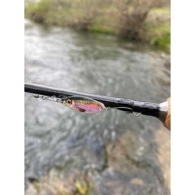 Blizgė Upėtakiams Trout Spoon 3D 5g Blizgė Upėtakiams Trout Spoon 3D 5g