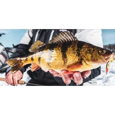 Blizgė žieminė RATTLING ICE Roach Rapala Blizgė žieminė RATTLING ICE Roach Rapala