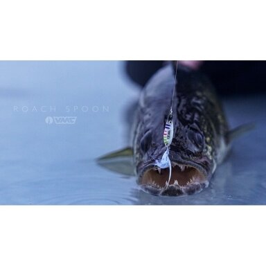 Blizgė žieminė RATTLING ICE Roach Rapala Blizgė žieminė RATTLING ICE Roach Rapala