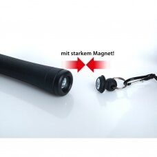 Graibštas Forrele Magnet-Clip BIG Lašišoms