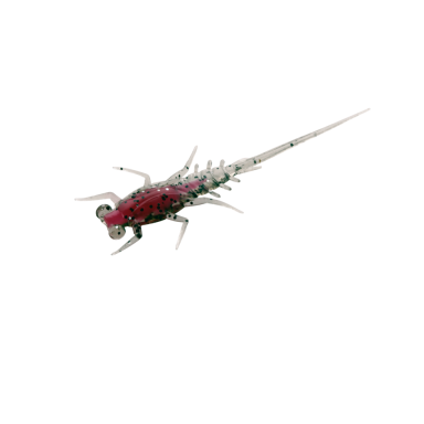 Avižadrebis Guminukas su aminorūgštim ir baltymais 13Fishing USA Bernie 6vnt 4.3cm Rapala Palijoms Upėtakiams Ešeriams Karšiams Avižadrebis Guminukas su aminorūgštim ir baltymais 13Fishing USA Bernie 6vnt 4.3cm Rapala Palijoms Upėtakiams Ešeriams Karšiams