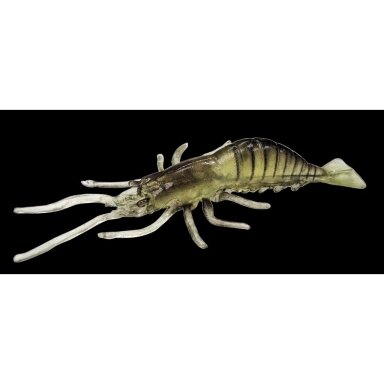 Tikra krevečių imitacija Krevetė Real Shrimp Krevetė UV-aktyvus 10cm Germany Tikra krevečių imitacija Krevetė Real Shrimp Krevetė UV-aktyvus 10cm Germany