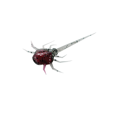 Avižadrebis Guminukas su aminorūgštim 13Fishing USA ir baltymais Coconut Crab 6vnt 3.2cm Rapala Palijoms Upėtakiams Ešeriams Karšiams Avižadrebis Guminukas su aminorūgštim 13Fishing USA ir baltymais Coconut Crab 6vnt 3.2cm Rapala Palijoms Upėtakiams Ešeriams Karšiams