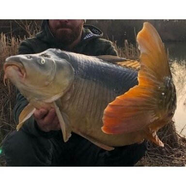 Jaukas Pašaras Žuvims Vilioti Power High Protein Bait daug baltymų turintis Karšis Karpis Kuoja Raudė Lynas Karosas 100% natūralus 2kg Jaukas Pašaras Žuvims Vilioti Power High Protein Bait daug baltymų turintis Karšis Karpis Kuoja Raudė Lynas Karosas 100% natūralus 2kg