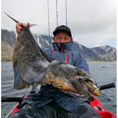 Jūrinis guminukas + sistemėlė Crazy Daisy Halibutų Didelių Menkių Žvejybai Norvegijoje 1