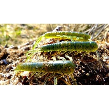 Riperiai Drop Shot Active Crawler 7,5 cm Germany Riperiai Drop Shot Active Crawler 7,5 cm Germany