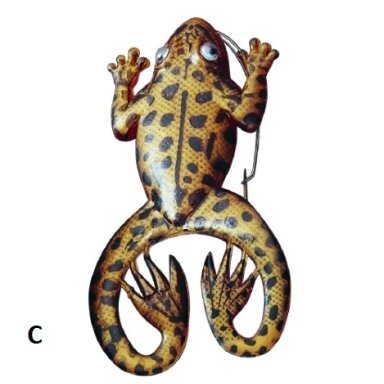 Riperiai Guminukas Varlė Froggy su kablio apsauga neužsikabinantis už žolių Riperiai Guminukas Varlė Froggy su kablio apsauga neužsikabinantis už žolių