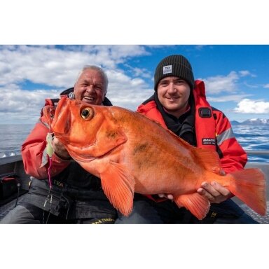 Sistema jūrinė Daiwa Grandwave Redfish Ešerys Sistema jūrinė Daiwa Grandwave Redfish Ešerys