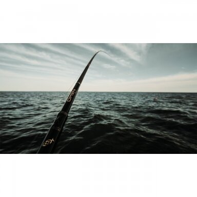 Spiningas 13FISHING Omen Gold 3.20m Rod Spiningas 13FISHING Omen Gold 3.20m Rod