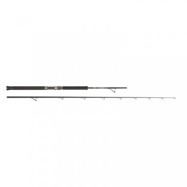 Spiningas jūrinis Cortez Boat 2.24m 12-20lb