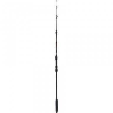Spiningas TELE TRAXX Strong 3,30m 60-100g