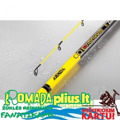 Spininigas Continuum Jūrinis Starkinis Kapeliavimui 20-100g 3 Spininigas Continuum Jūrinis Starkinis Kapeliavimui 20-100g 3