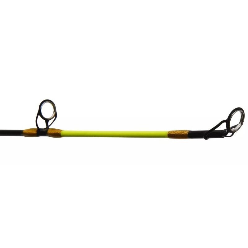 Spiningas jūrinis su Multiplikatorinė ritė + valas Trolling Combo 213cm 4