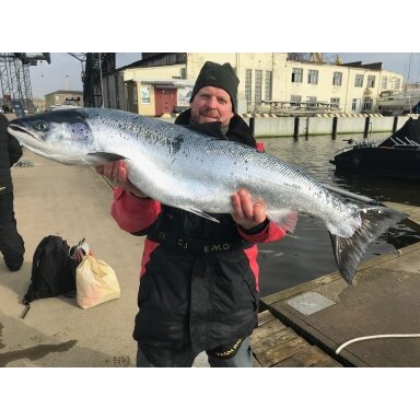 Užgilintojas svoris Paravan velkiavimo Trolling Fire Red Salmon Jenzi Užgilintojas svoris Paravan velkiavimo Trolling Fire Red Salmon Jenzi