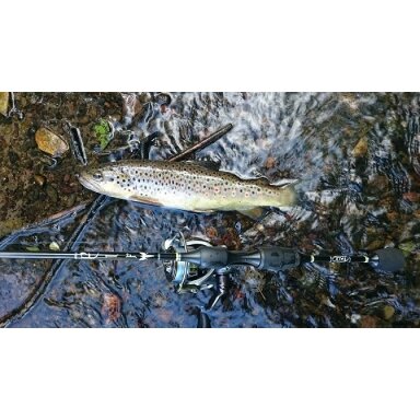 Vienetinis gaminys Ekskliuzyvinis Rankų Darbo Japan Spiningas FALX ELF TZ 1.82m, 0.9-5g Vienetinis gaminys Ekskliuzyvinis Rankų Darbo Japan Spiningas FALX ELF TZ 1.82m, 0.9-5g