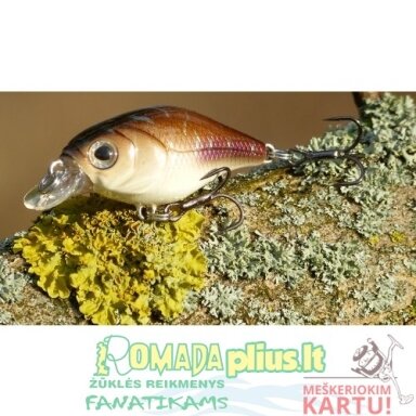 Vobleris Baby Trout 4,2cm 4,5g SP-C Vobleris Baby Trout 4,2cm 4,5g SP-C