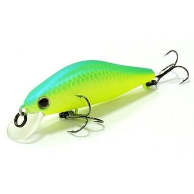 Vobleris Daiwa Wise Minnow 50FS Made in Japan IŠPARDAVIMAS Vobleris Daiwa Wise Minnow 50FS Made in Japan IŠPARDAVIMAS