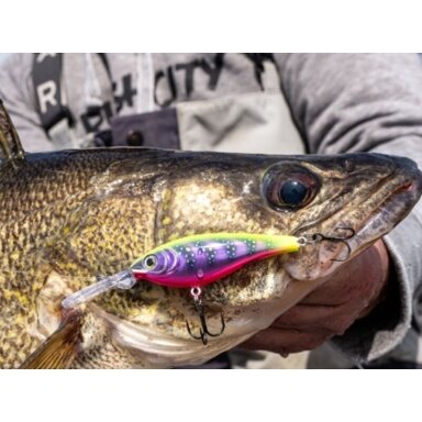 VOBLERIS Rapala Harvest Shad 7cm 9g Floating VOBLERIS Rapala Harvest Shad 7cm 9g Floating