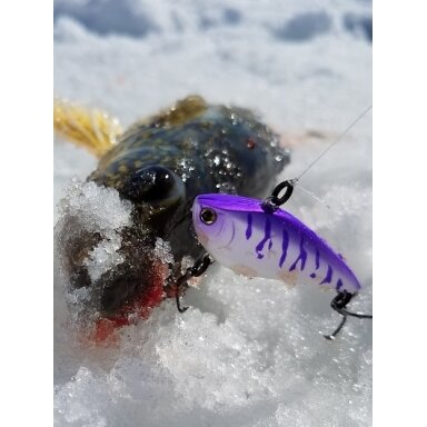 Vobleris Yo-Zuri 40mm RATTLiN VIBE MINI Tinka Vasarai bet ir Žiemą Ešerių Lydekų Starkių Upėtakių Palijų Žūklei Vobleris Yo-Zuri 40mm RATTLiN VIBE MINI Tinka Vasarai bet ir Žiemą Ešerių Lydekų Starkių Upėtakių Palijų Žūklei