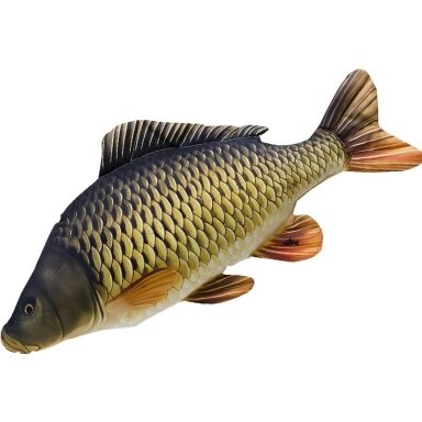 Žuvytė minkšta suvenyras Karpis Pagalvėlė Dovana Žvejui 64cm Žuvytė minkšta suvenyras Karpis Pagalvėlė Dovana Žvejui 64cm