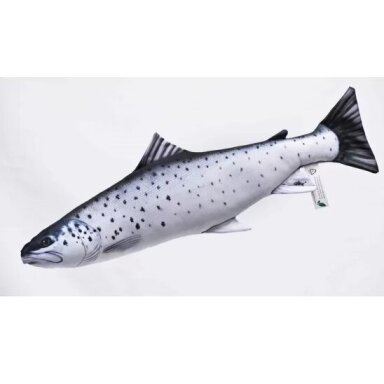 Žuvytė minkšta suvenyras Šlakis 51cm Pagalvėlė Žuvytė minkšta suvenyras Šlakis 51cm Pagalvėlė